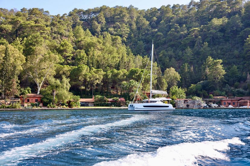 Catana CATSPACE Rea
