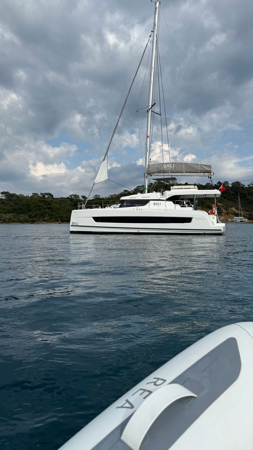 Catana CATSPACE Rea