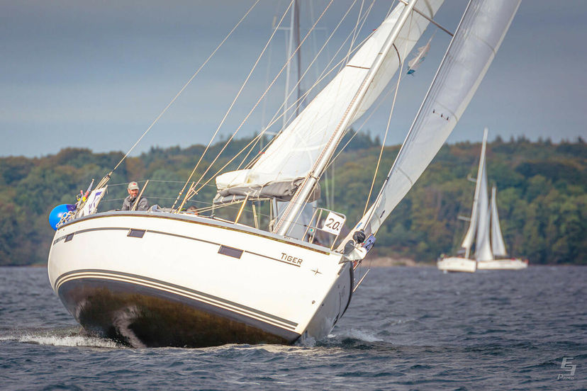 Bavaria Yachtbau 37 Tiger
