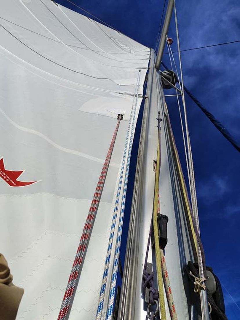 Fountaine Pajot 41 Swing