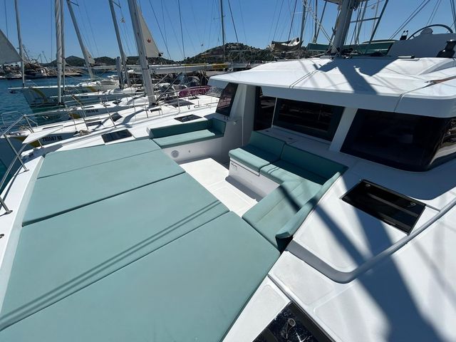 Catana 4.6 Brain