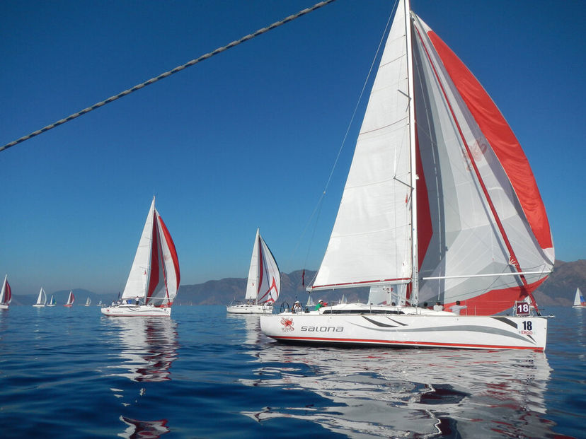 AD Boats 41 White Butterfly