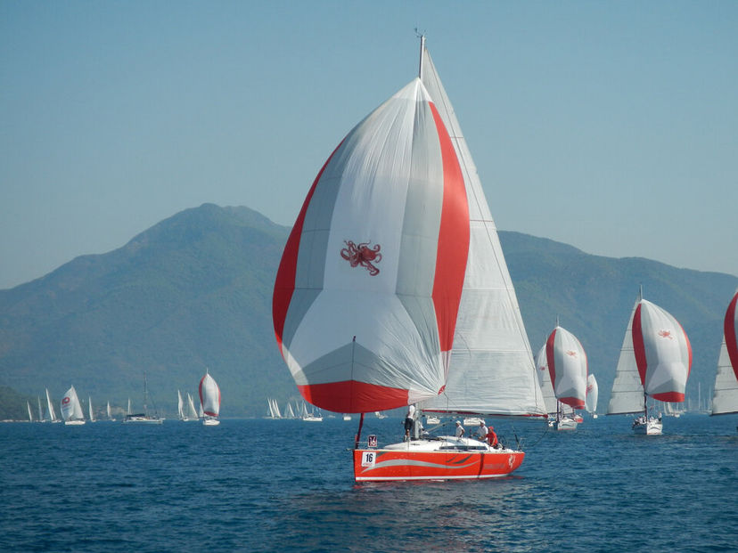 AD Boats 41 Wild Bee