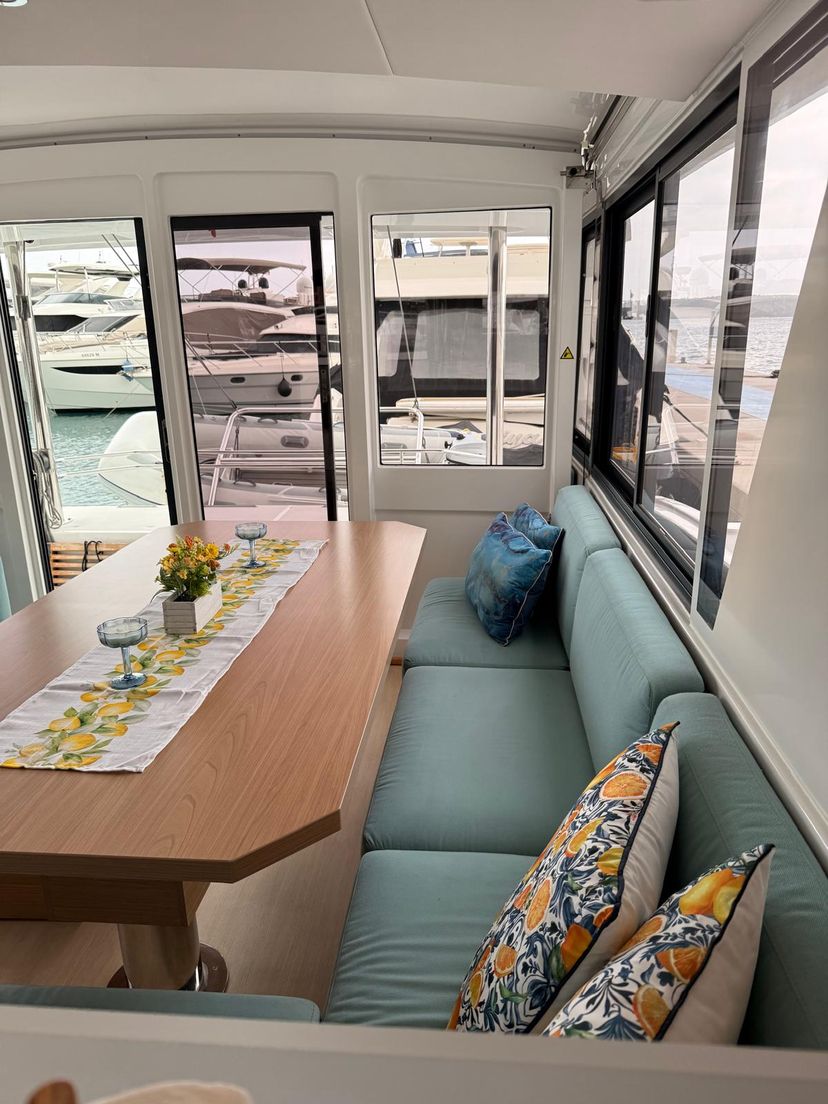Catana 4.6 Brain