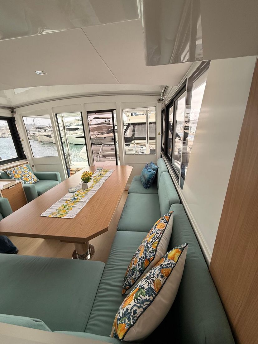 Catana 4.6 Brain