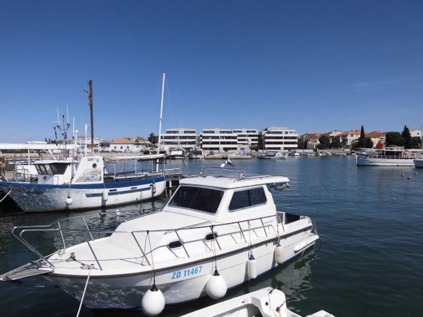 Damor 80 Zadar