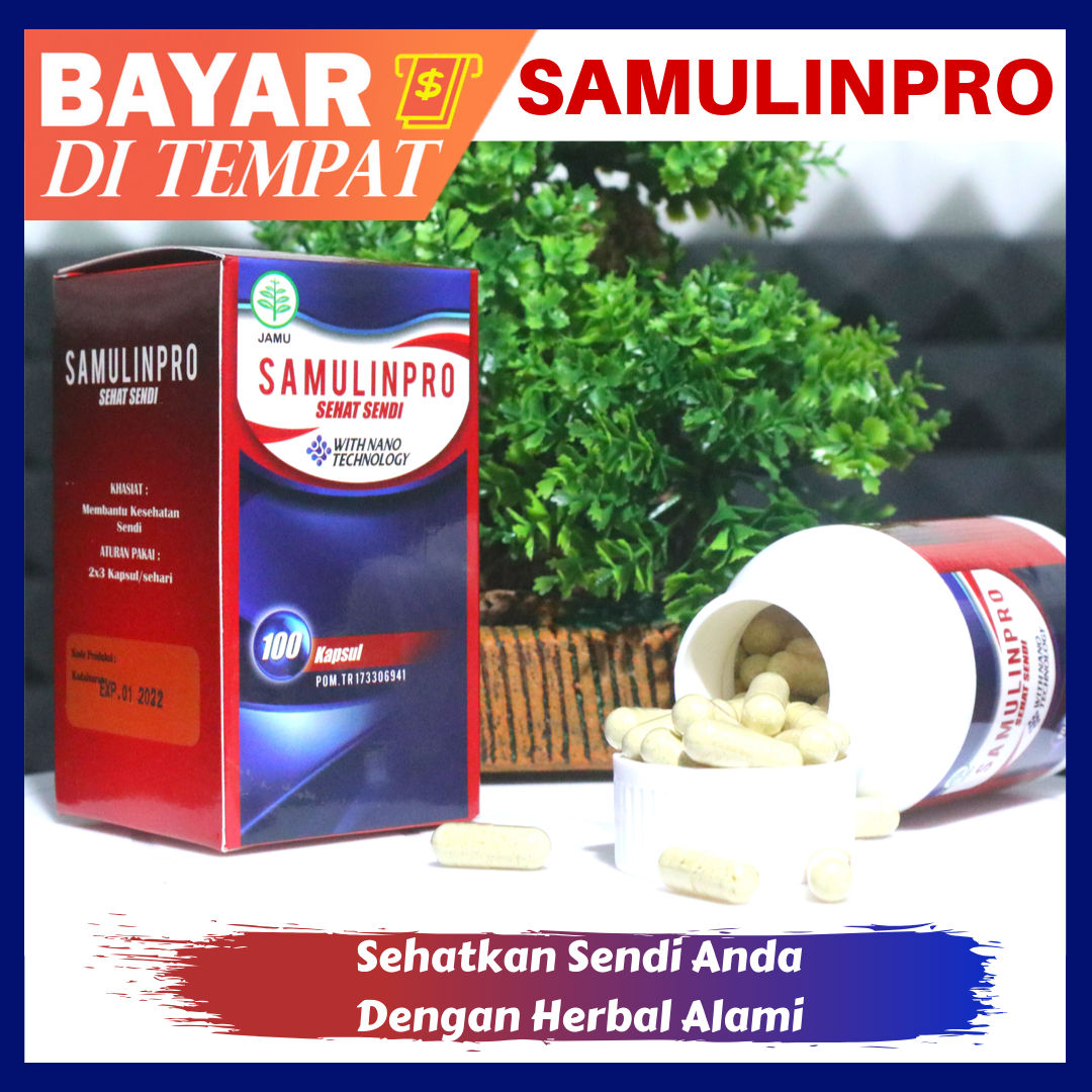  Obat  Sakit Pinggang Alami Samulinpro