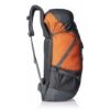 Picture of Wildcraft 45 Ltrs Grey and orange Rucksack (8903338073864)