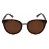 Picture of Fastrack UV Protected Oval Women's Sunglasses - (C065BR3F|53|Brown Color)