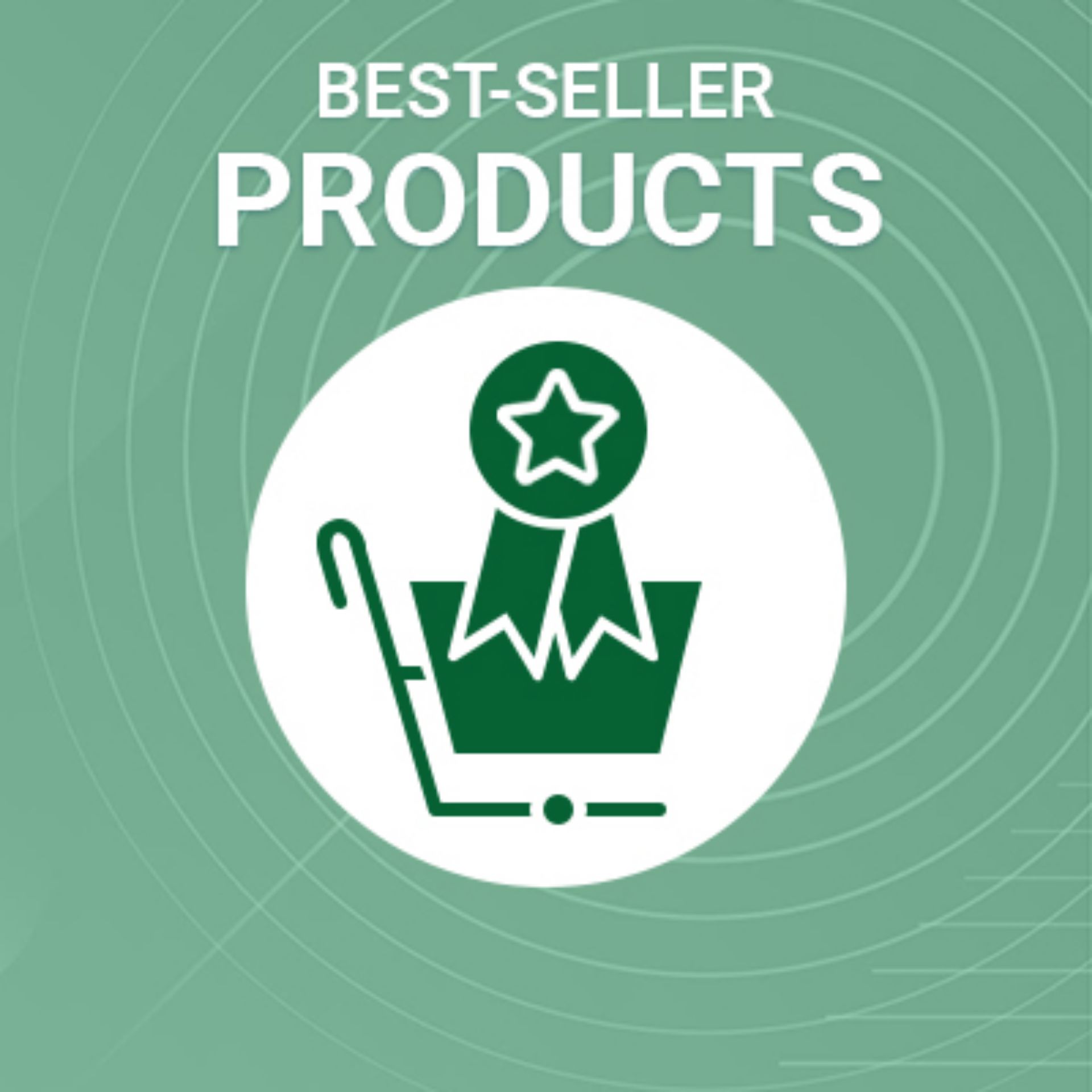 nopCommerce Bestseller products plugin