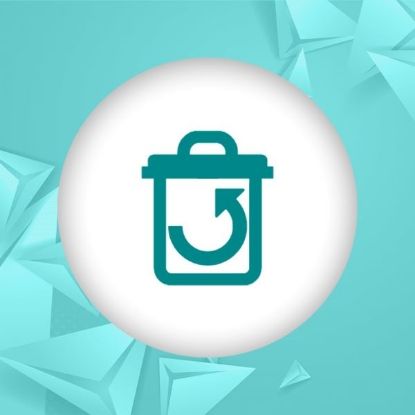 Picture of Manage Deleted Products Plugin for nopCommerce