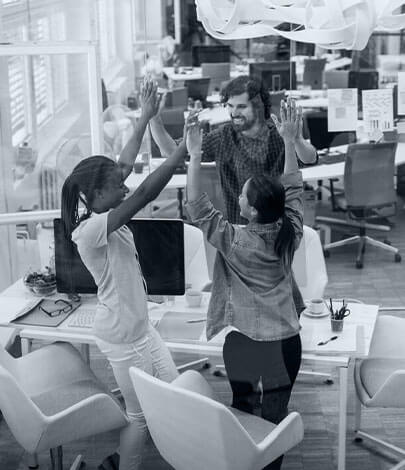 nopCommerce Software Development Service