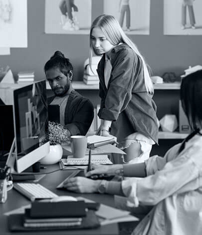 nopCommerce Software Development Company In US and Europ