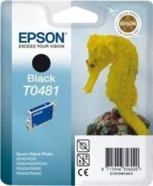 Epson T0481-C13T04814020 Siyah Orjinal Kartuş