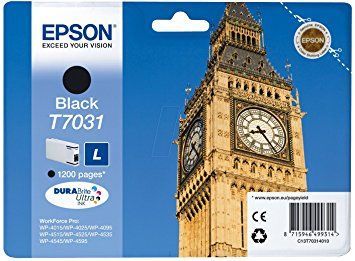 Epson T7031-C13T70314010 Siyah Orjinal Kartuş