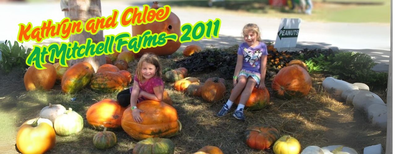 5 Local Pumpkin Patches in the Hattiesburg Area in Fall 2025