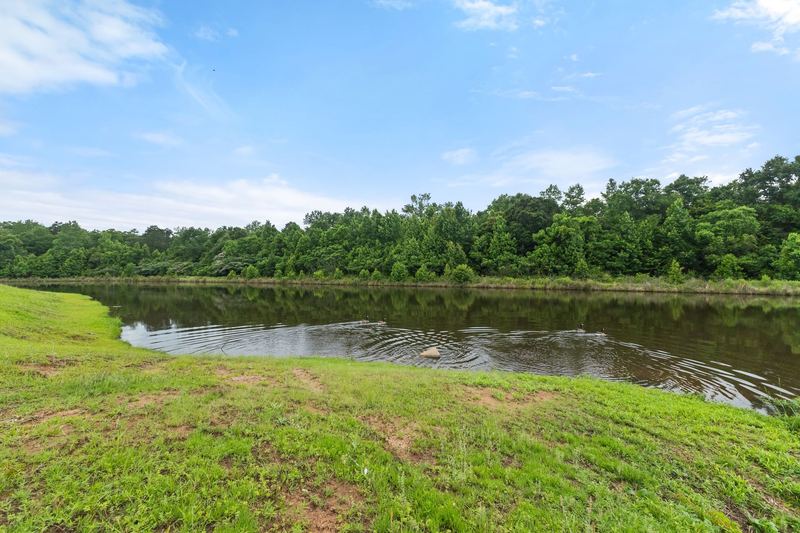 Cosmos 25 aerial waterfront — 32 Cosmos, Hattiesburg MS