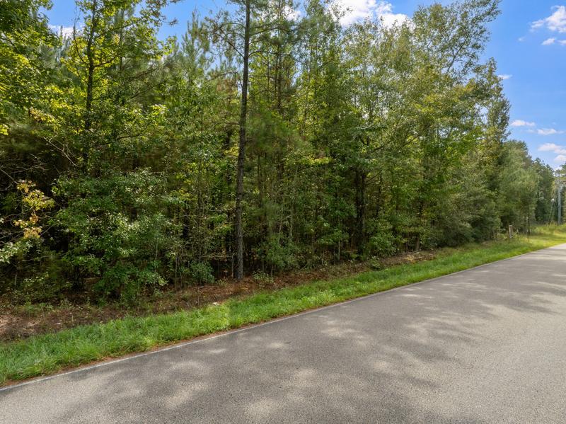 Ground-level view of Davis Road with wooded property along the roadside