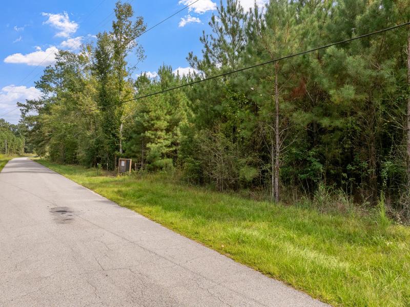 Davis Road pavement bordered by grass and tall pine trees at the property