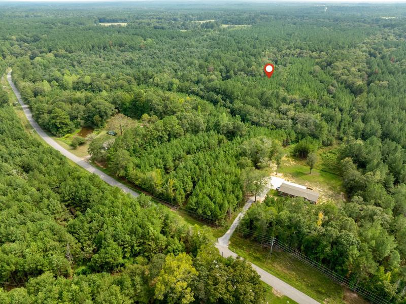 Aerial view of Davis Road beside woodland, with a location marker and neighboring properties visible