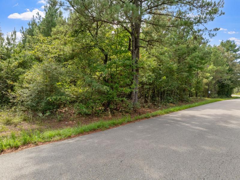 Wooded Davis Road frontage with tall pines, leafy trees and a grassy verge