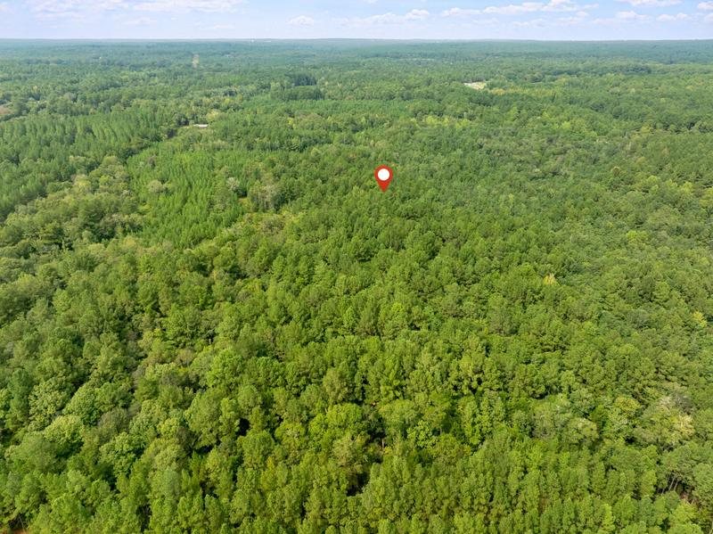 Wide aerial view of the Davis Road woods with a location marker and forest in the distance