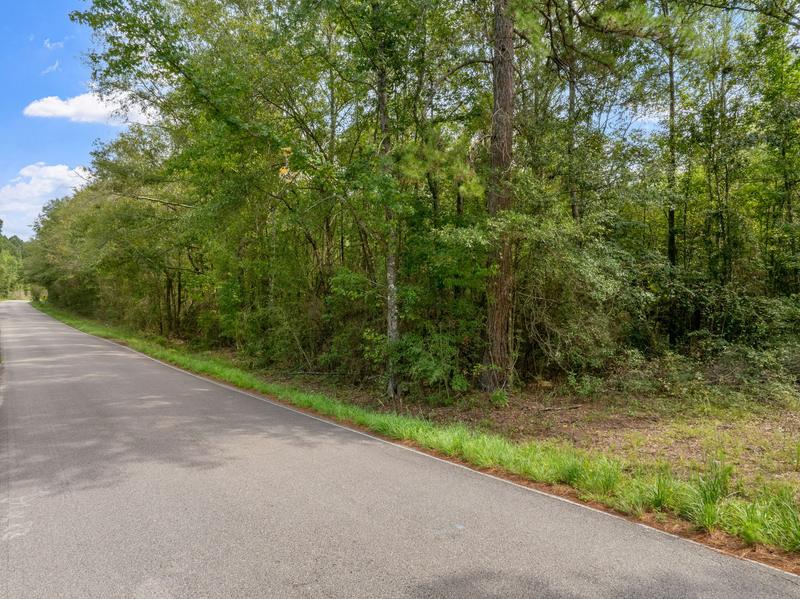 Ground-level view of the Davis Road property beside the paved roadway