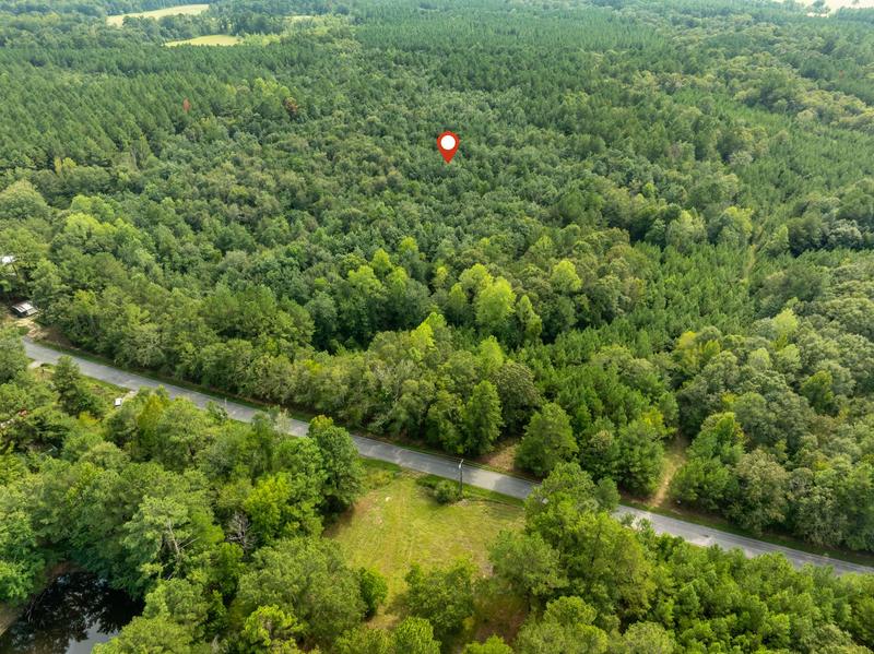 Aerial view over woodland near Davis Road with the paved road visible below