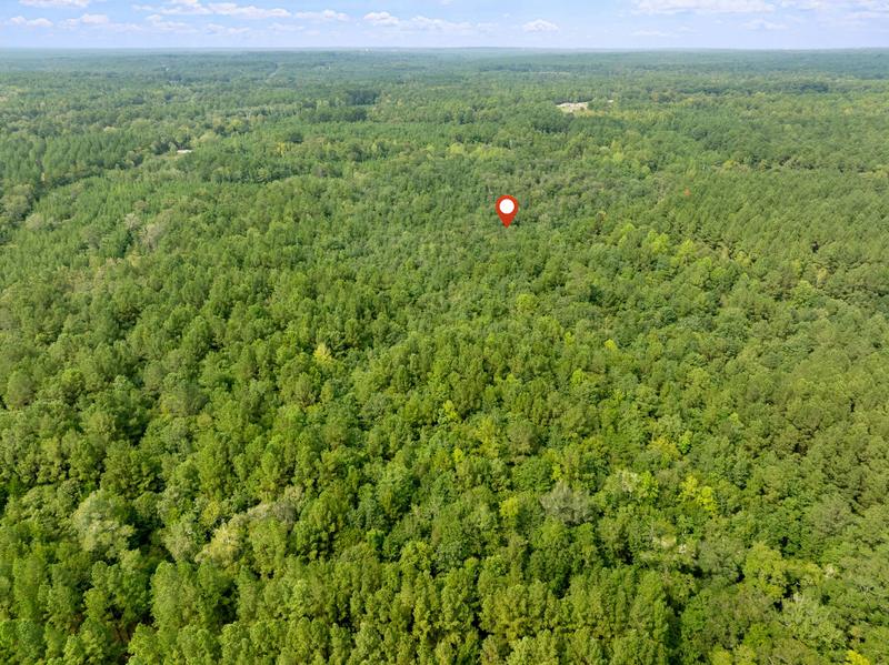 High aerial photograph of trees around the Davis Road property with a location marker