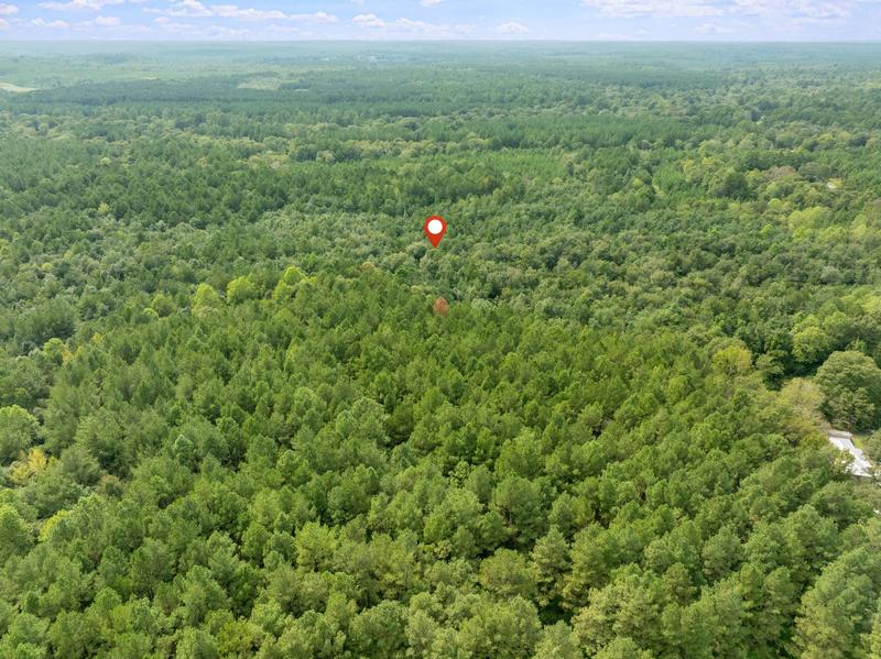 Wide aerial photograph across the rural wooded landscape around the Davis Road tract