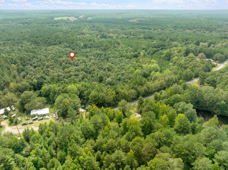 Aerial view across the Davis Road woodland and neighboring homes and clearings