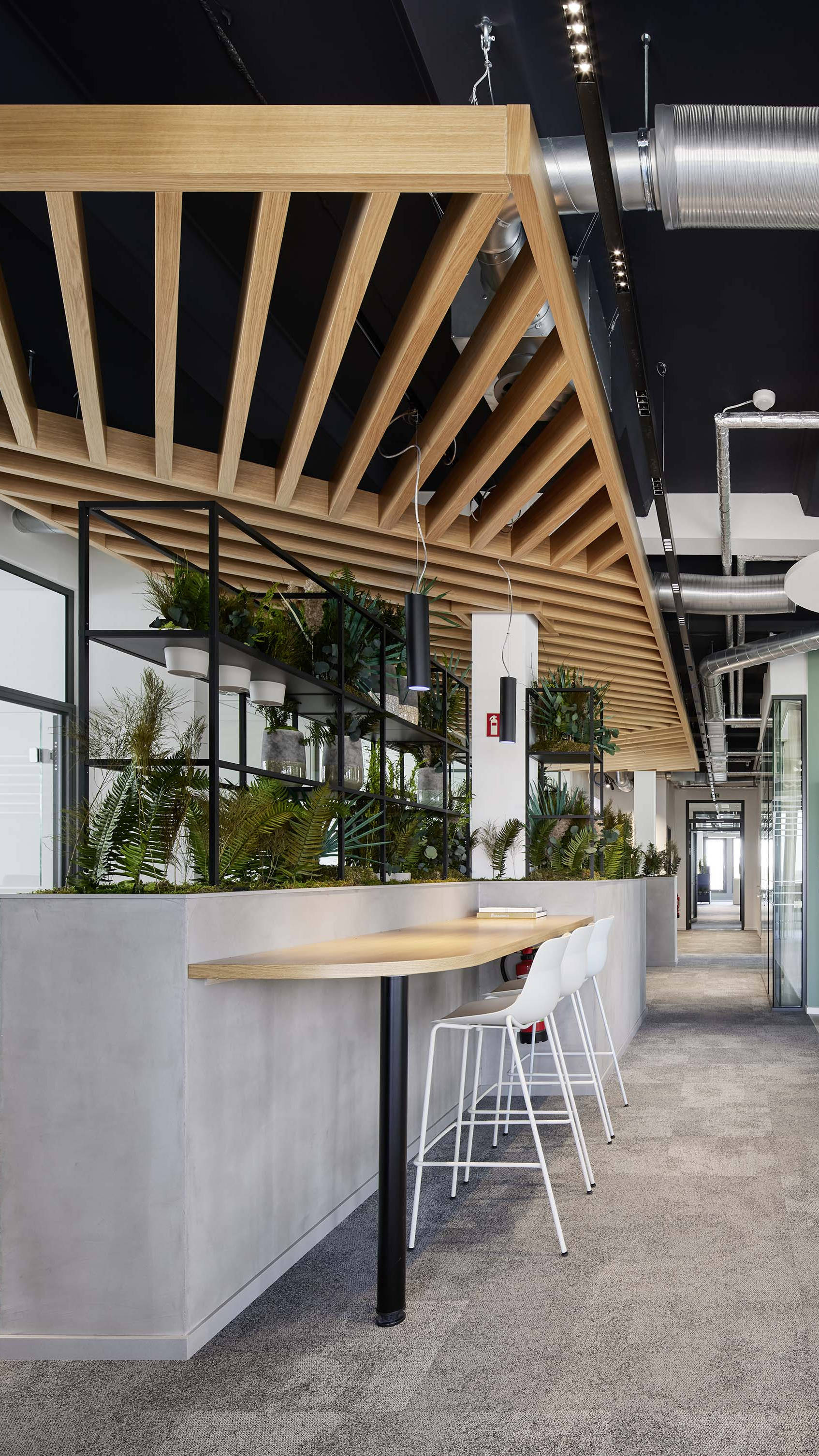 Modern office with open kitchen, green wall and plants, wooden elements and stylish seating.