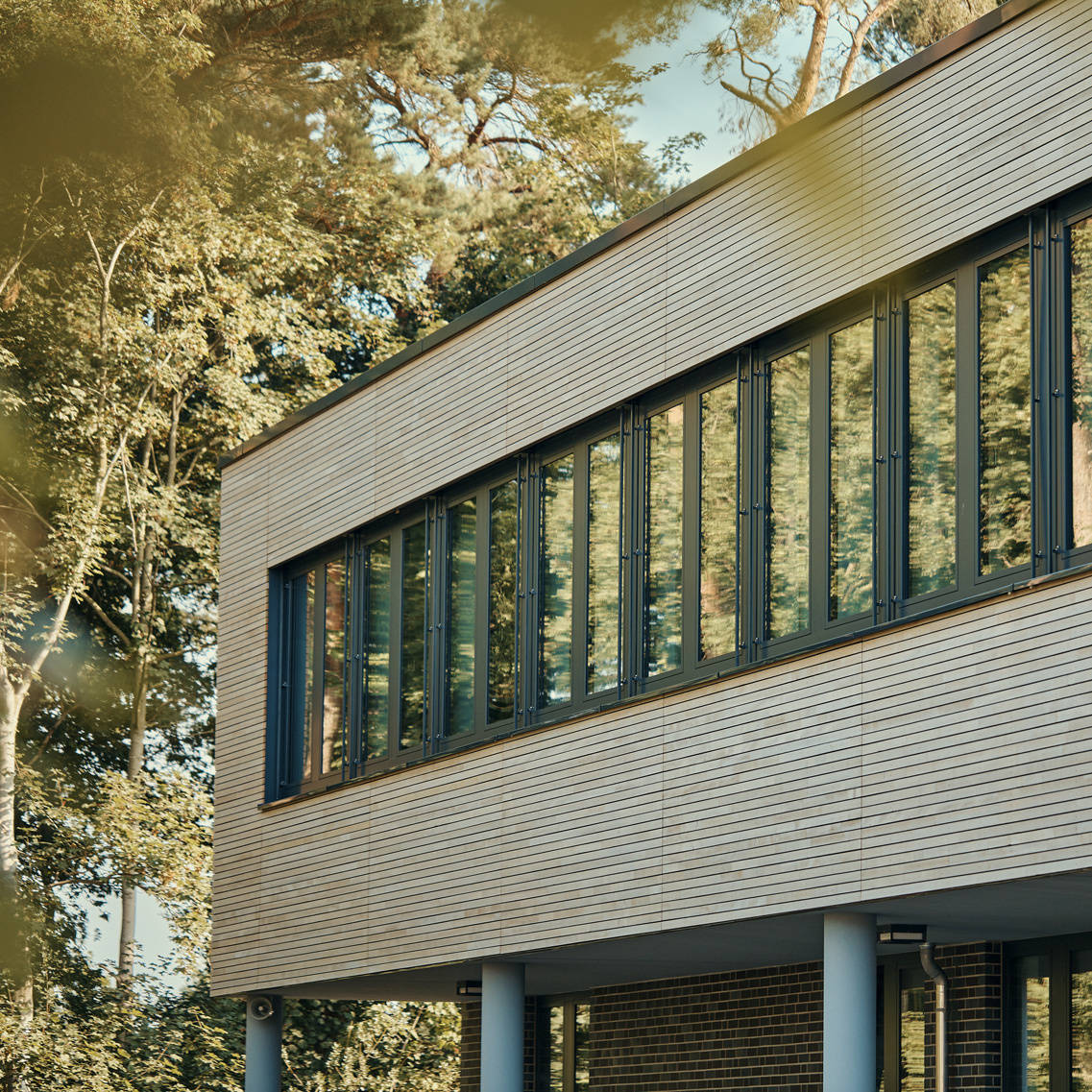 Moderne Fassade eines Gebäudes mit großen Fenstern, umgeben von Bäumen im Hintergrund.