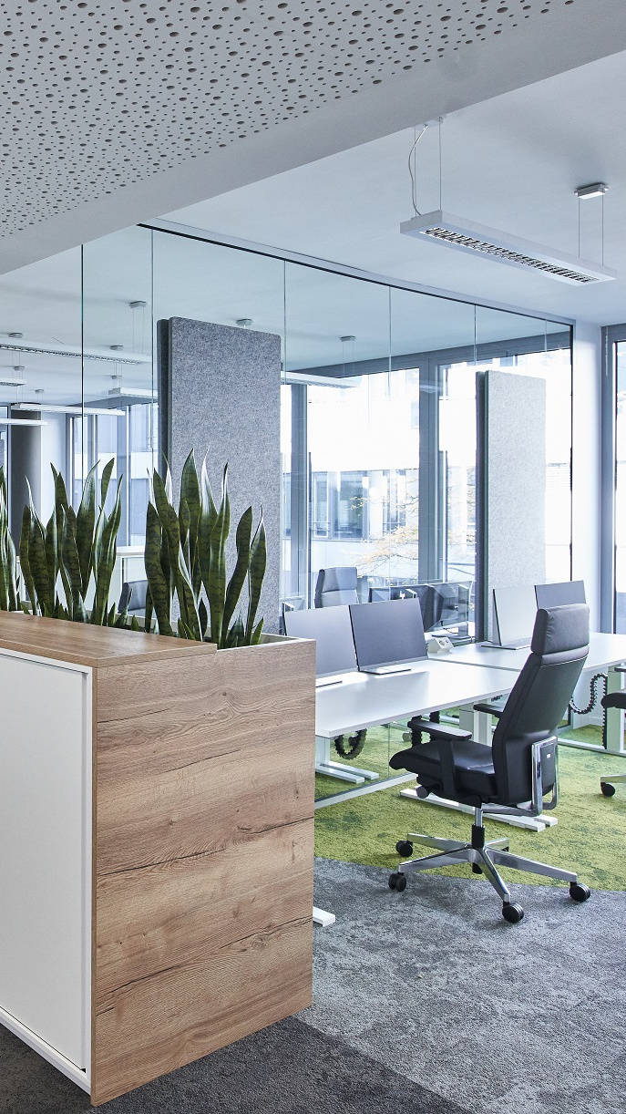 Modernes Büro mit flexiblen Arbeitsplätzen, Glaswänden und grünen Teppichakzenten, Pflanzen als Raumteiler.