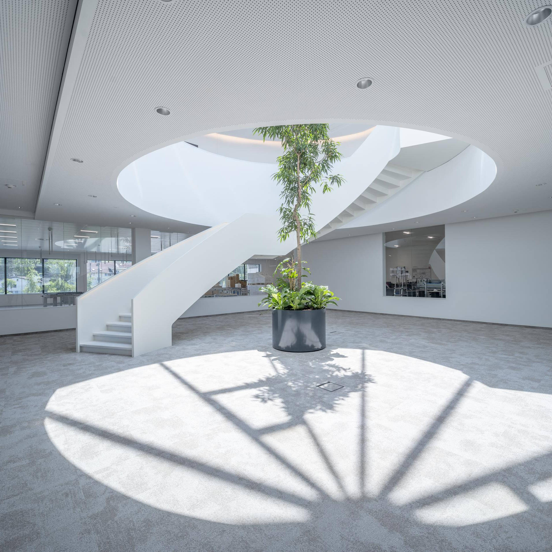 Modernes Atrium mit geschwungener weißer Treppe und großem Pflanzenkübel in der Mitte, beleuchtet durch Oberlicht.