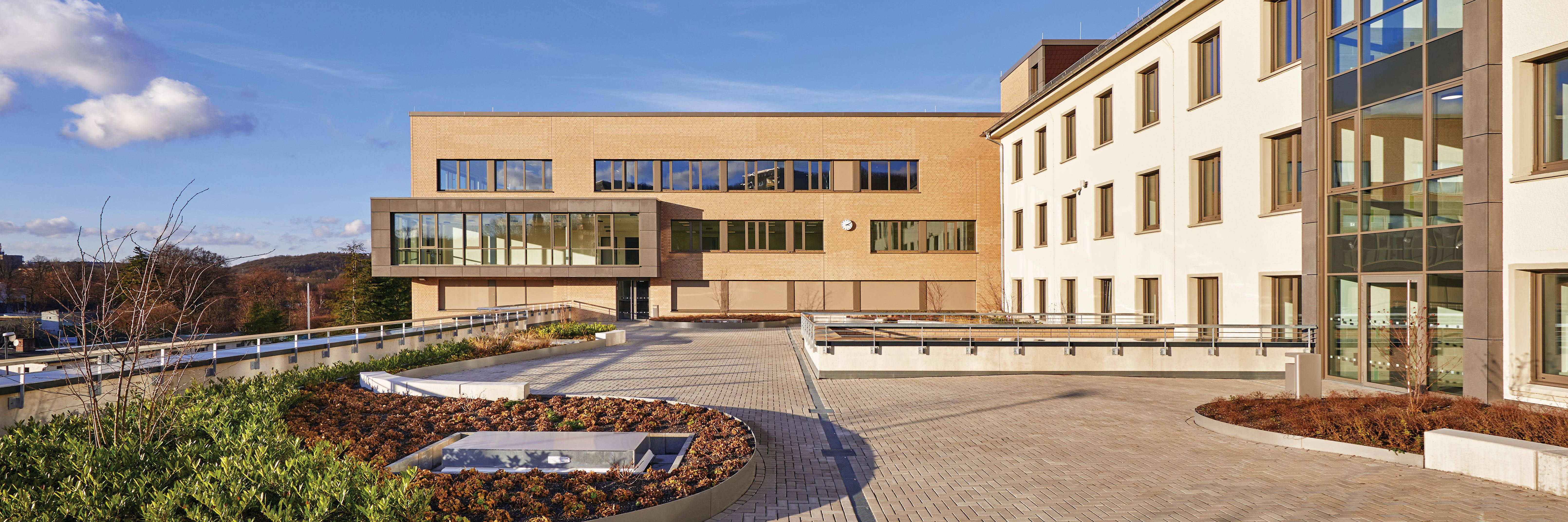 Modern school building in the sunshine, with paved forecourt and landscaped garden area in the foreground.