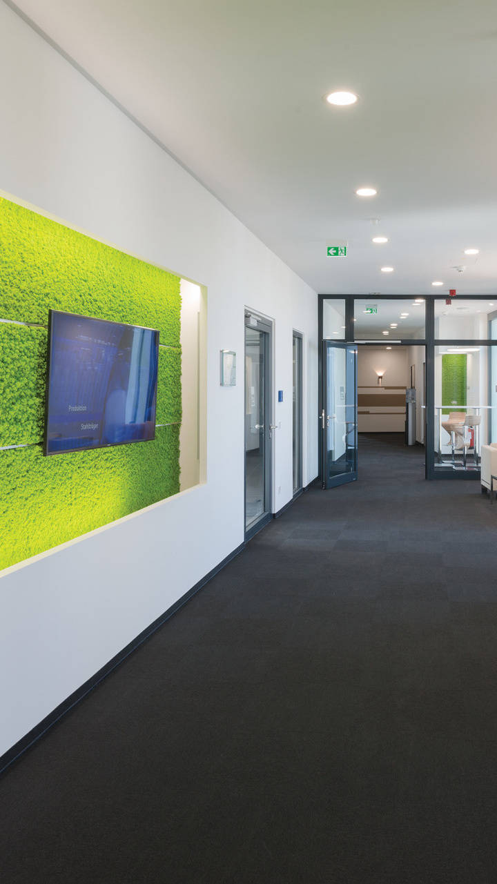 Moderner Büroflur mit grüner Mooswand, Sofas und Glastischen, helle Beleuchtung, Glasfenster auf der rechten Seite.