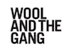 Wool and the Gang Blog