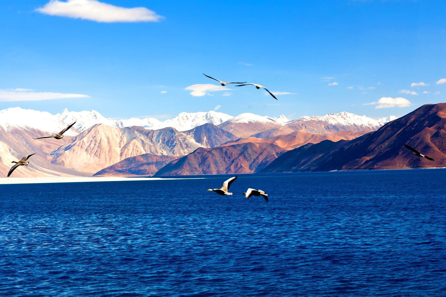 Jewels of Leh Ladakh Tour Package 7 Days, Leh Ladakh with Nubra Valley  Holiday Package