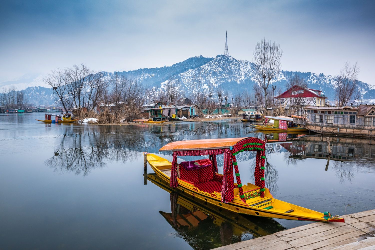 Blissful Kashmir Family Tour for 4N/5D WanderOn