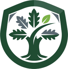 VNS SERVICES Group Inc