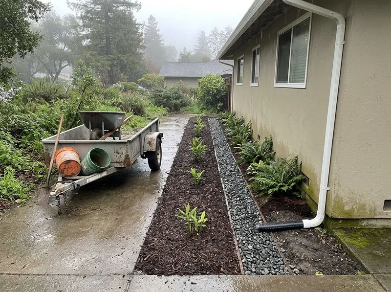 Project in Mountain View