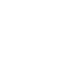 Patrick Home Repair Maintenance Lawnscaping Service LLC