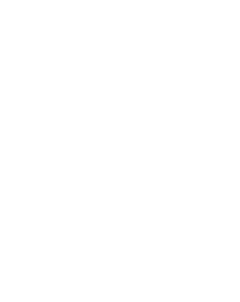 SG HANDYMAN SERVICES LLC