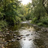 Homeowner in Creekside