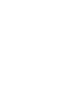Feiendly Clean LLC