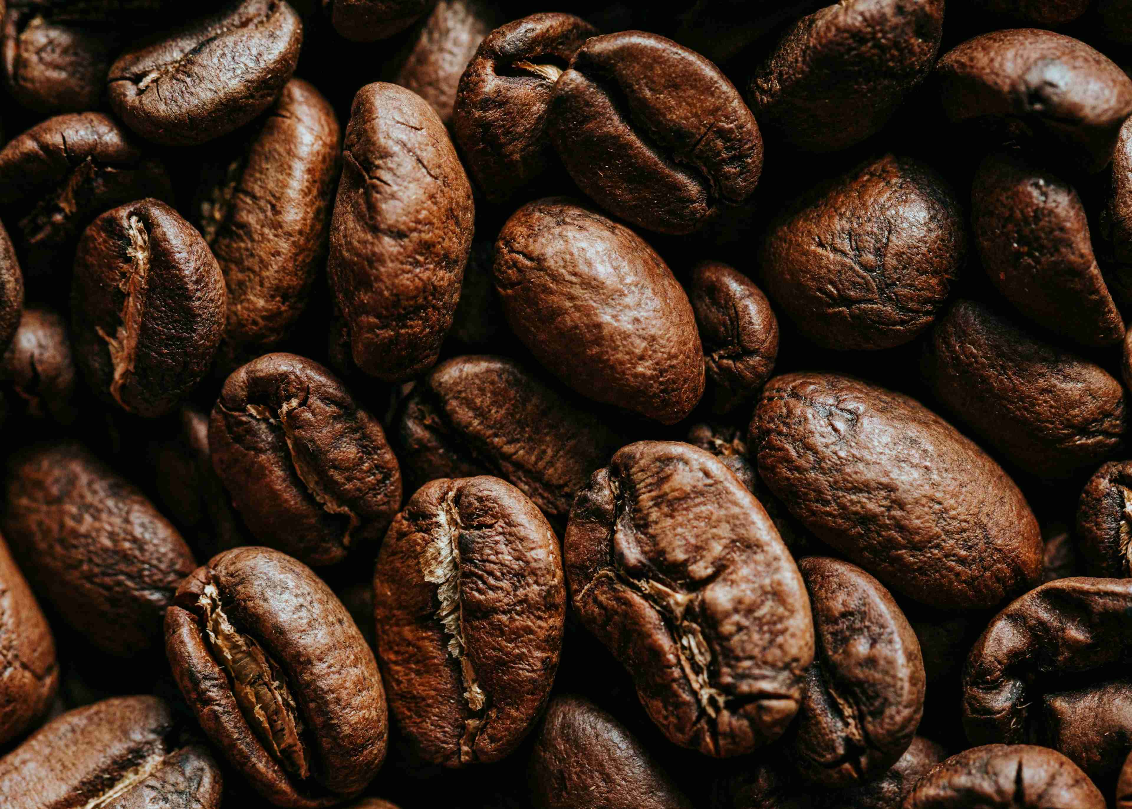 Close-up photograph of brown coffee beans