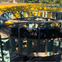 Mastercut Building Projects' profile picture