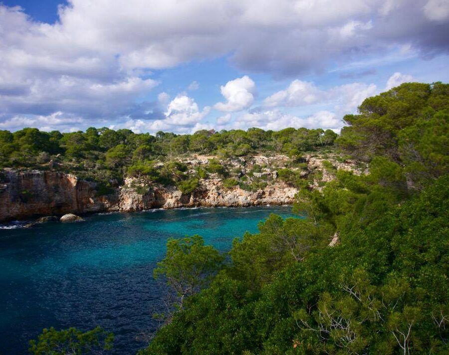 Mallorca - apa, stanci, copaci.LTS