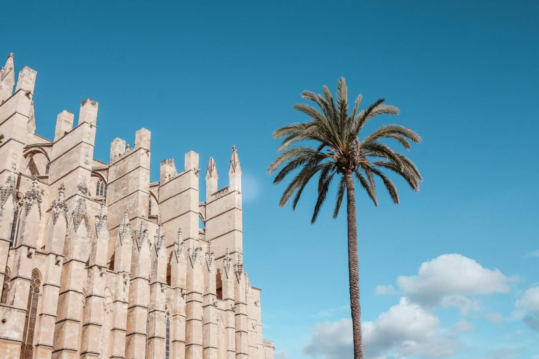 Palma de Mallorca - palmieri, zid catedrala, nori.LTS
